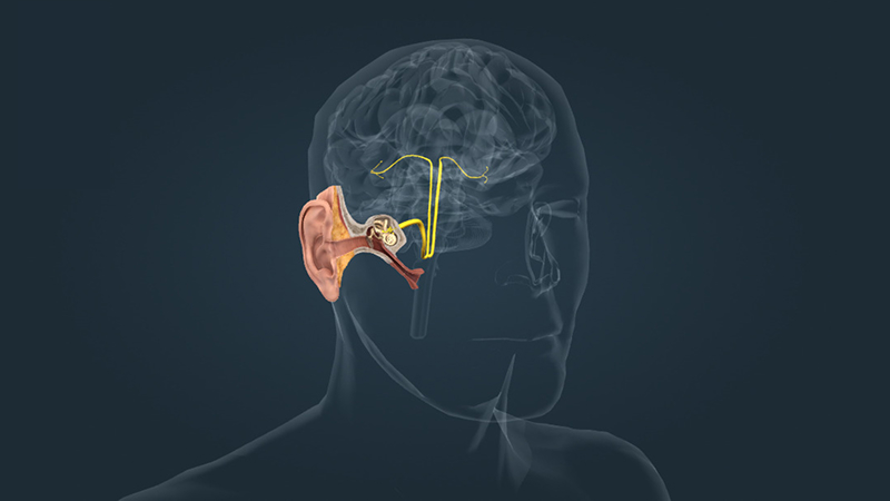 EP 01 - The Ear | Ramadan and Fasting