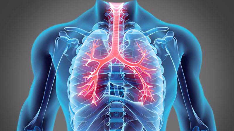 EP 06 - Respiratory System | Ramadan and Fasting