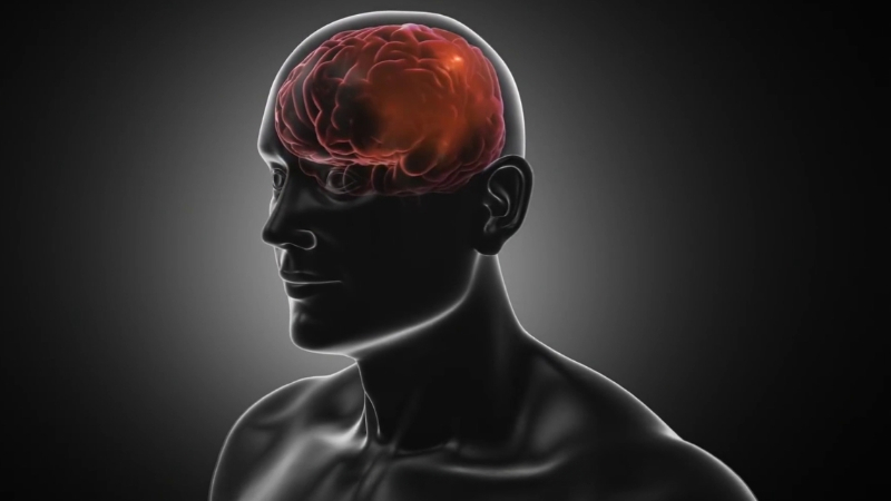 EP 07 - Nervous System | Ramadan and Fasting