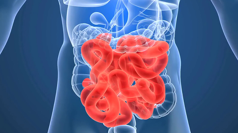 EP 09 - The Digestive System | Ramadan and Fasting