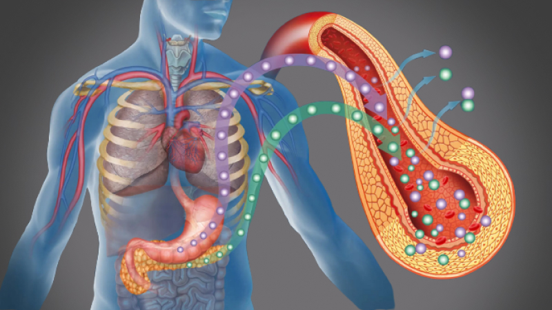 EP 12 - Diabetes | Ramadan and Fasting