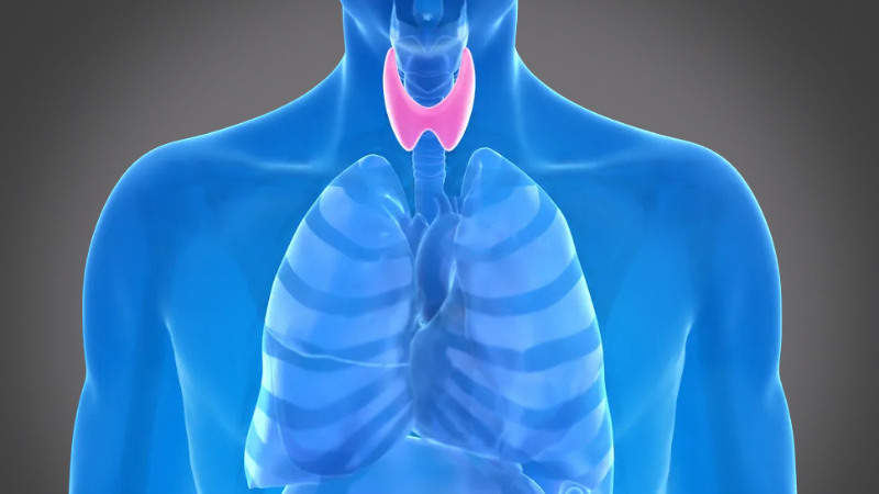 EP 16 - Thyroid Gland | Ramadan and Fasting