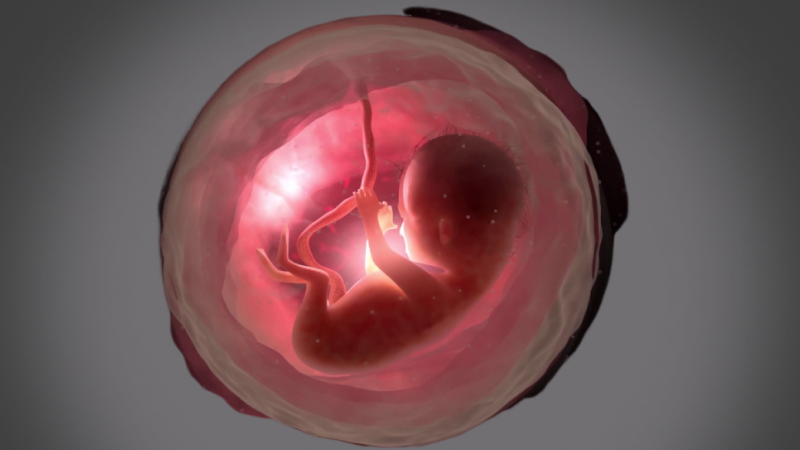 EP 22 - Pregnancy During Ramadan | Ramadan and Fasting