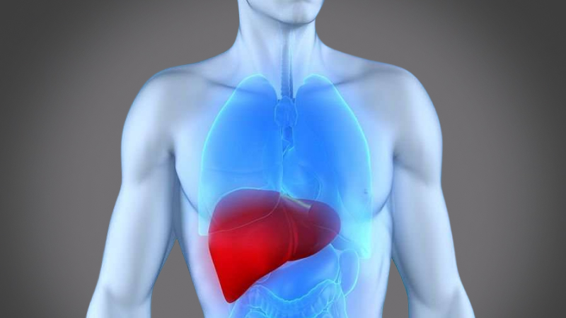 EP 23 - The Gallbladder | Ramadan and Fasting