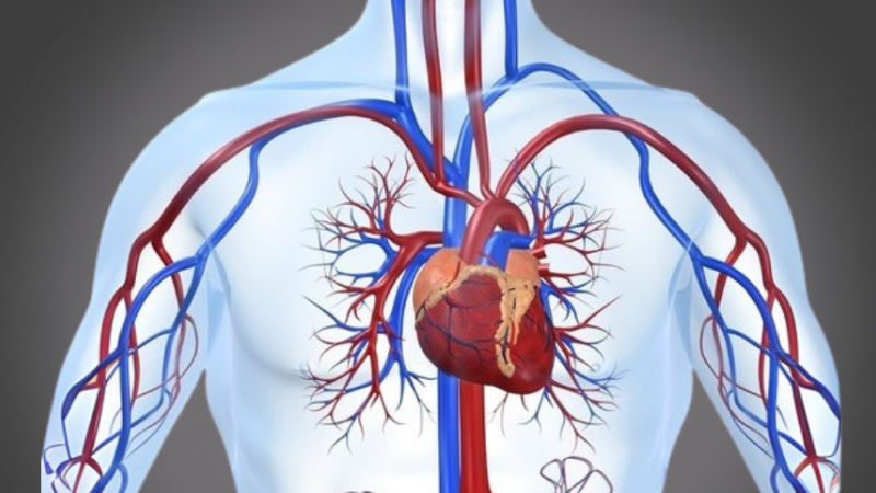 EP 25 - Heart Disease | Ramadan and Fasting